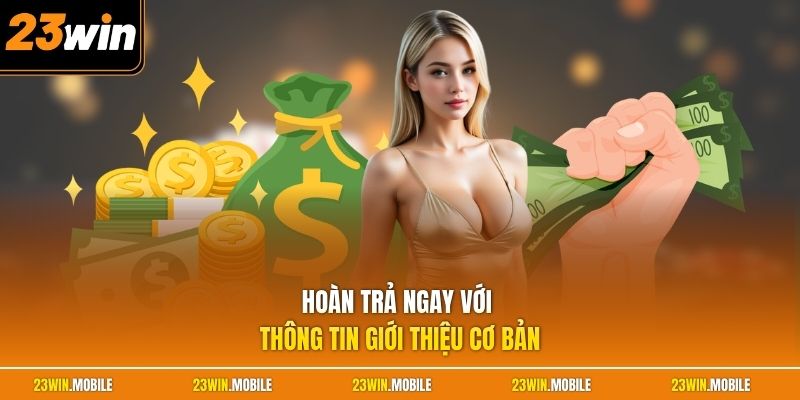 Hoàn trả ngay với thông tin giới thiệu cơ bản