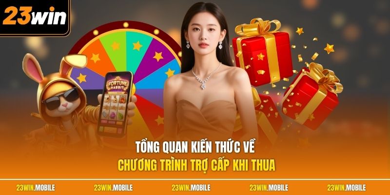 Tổng quan kiến thức về chương trình trợ cấp khi thua